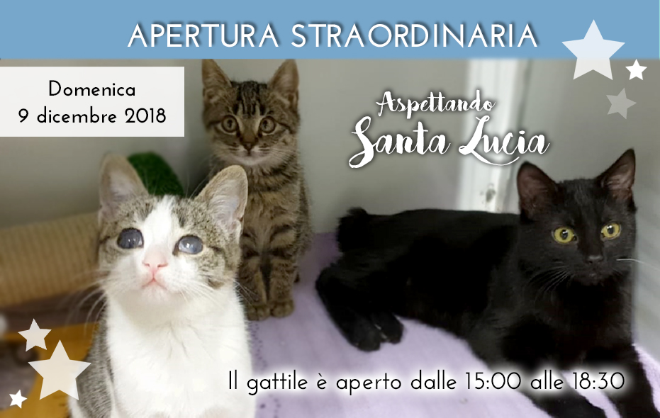 apertura straordinaria 9 dicembre santa lucia