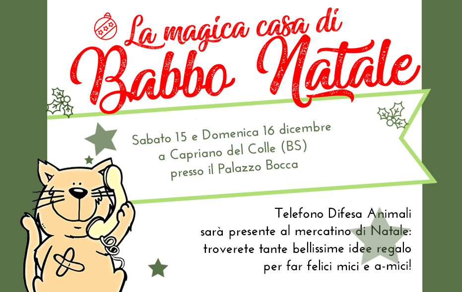 mercatino natale 2018